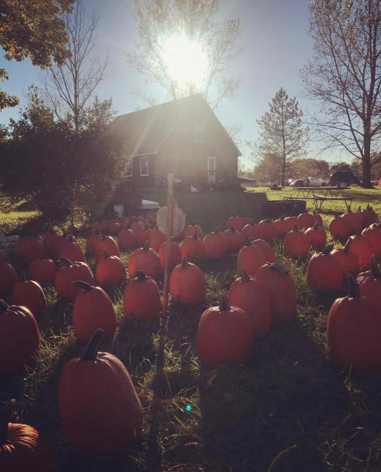 Fall home in Bluffton and Hilton Head with cozy kitchen and bowl of butternut squash apple soup