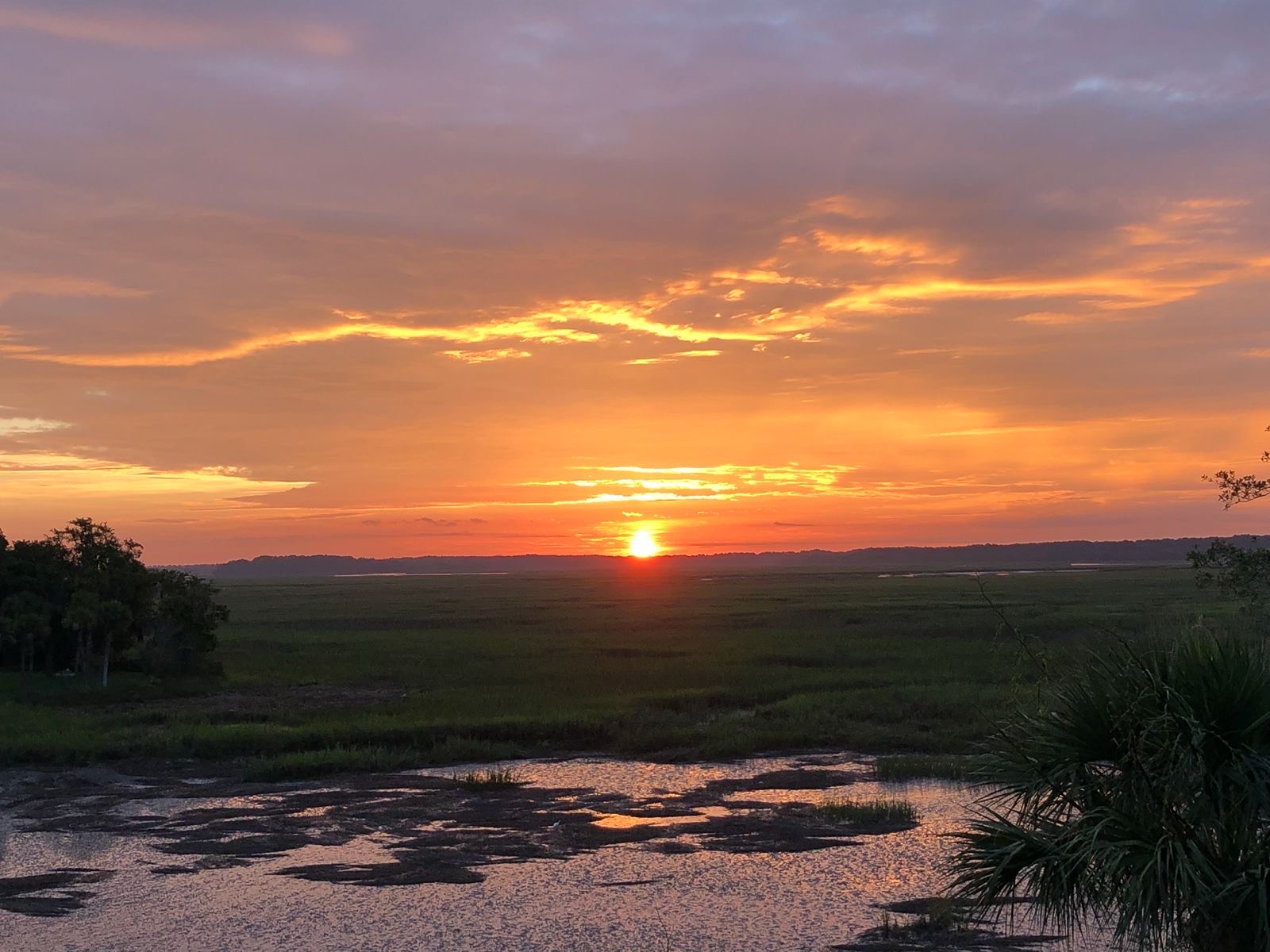 A relaxed, refreshing 24-hour guide for active adults exploring Bluffton and Hilton Head—including local eats, nature walks, wellness, and real estate tips.