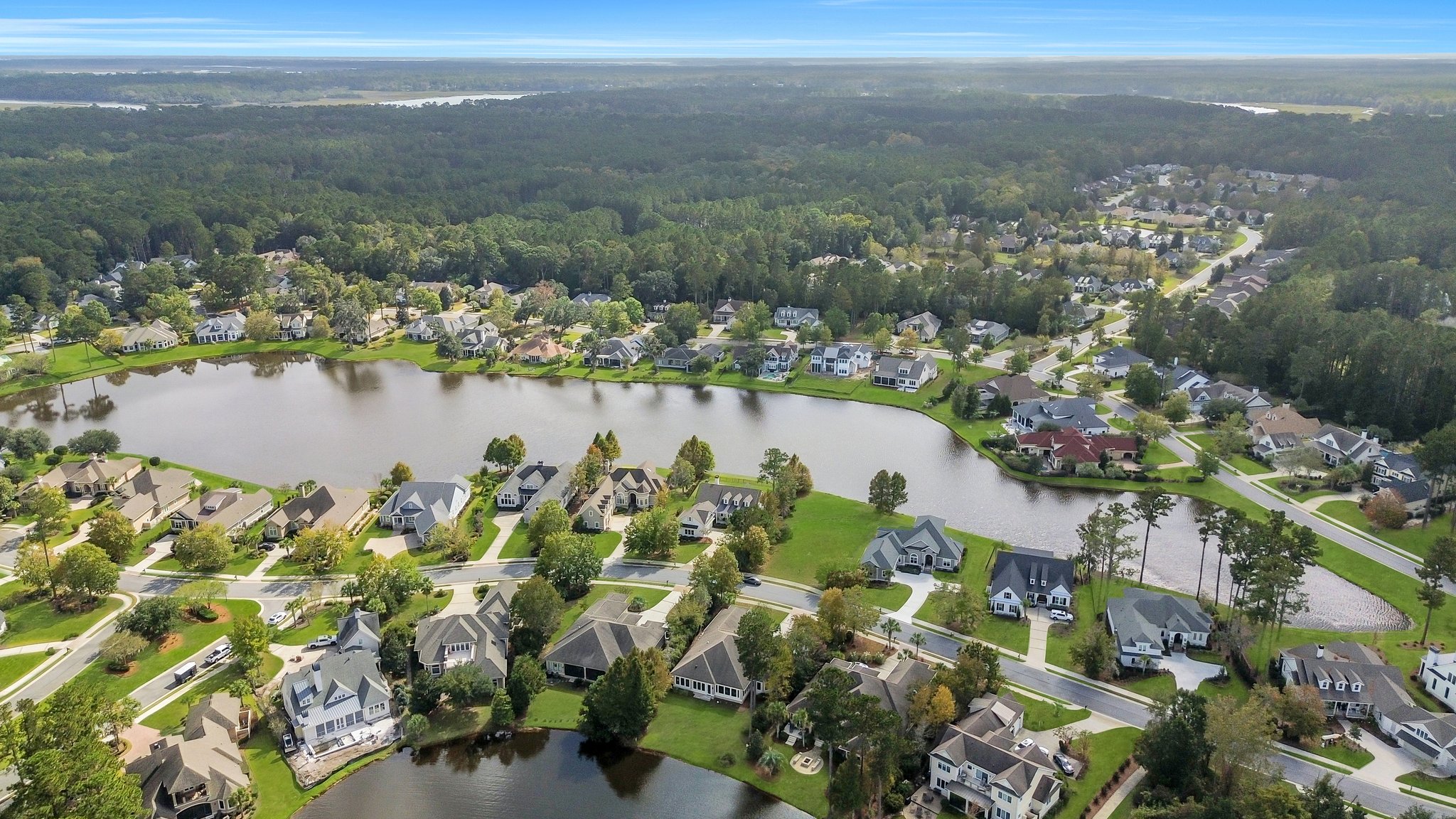 Tiny no-see-um biting insect hovering in sunlight over marshland in Bluffton or Hilton Head area.